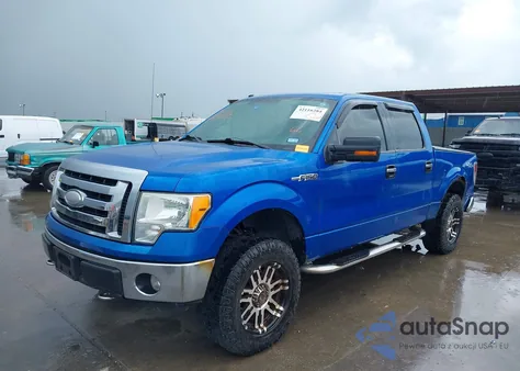 2009 Ford F-150 Fx4/King Ranch/Lariat/Platinum/Xl/Xlt z USA, uszkodzony, nr VIN 1FTPW14V49FB13310